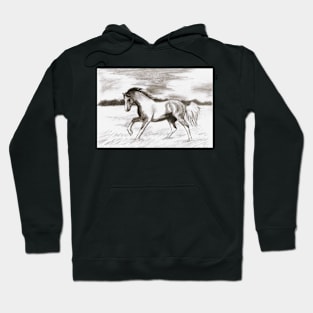 Paint in Pencil Hoodie